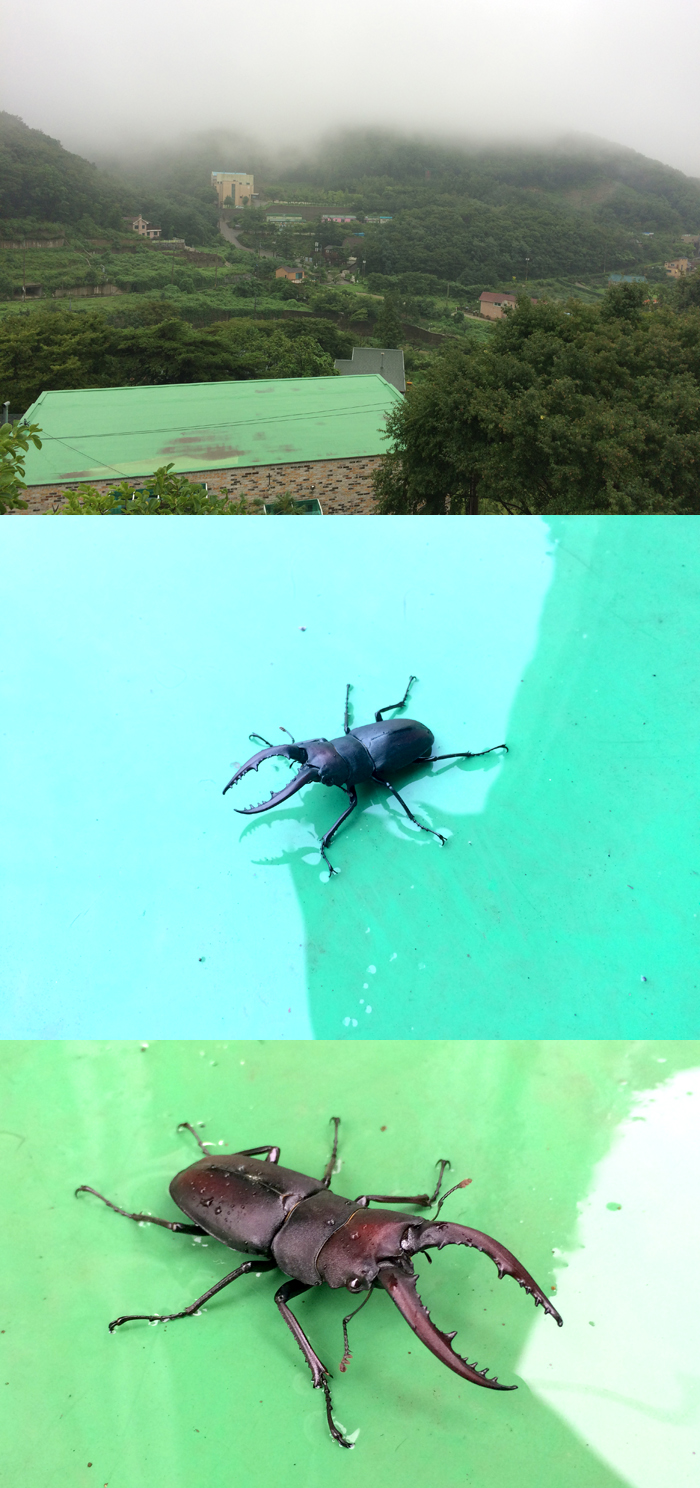 2015072602